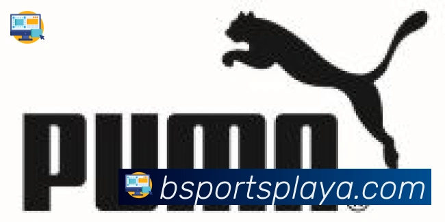 BSPORTS合作伙伴